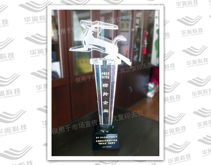 瞪羚企业(2013年度)
