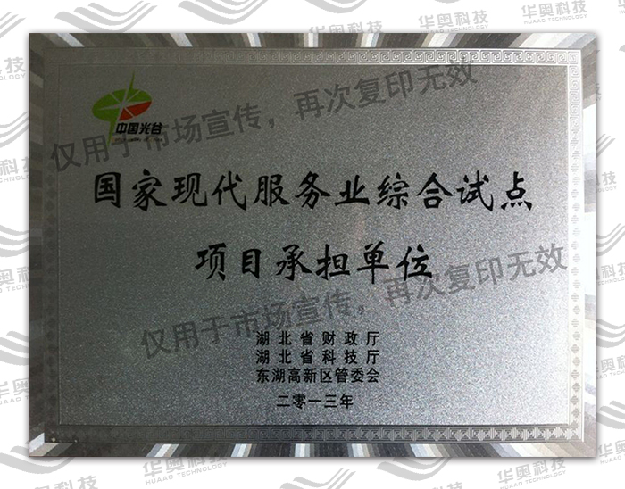 国家现代服务业综合试点项目承担单位