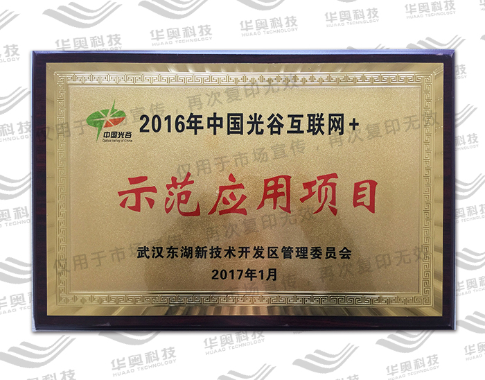 中国光谷互联网+示范应用项目