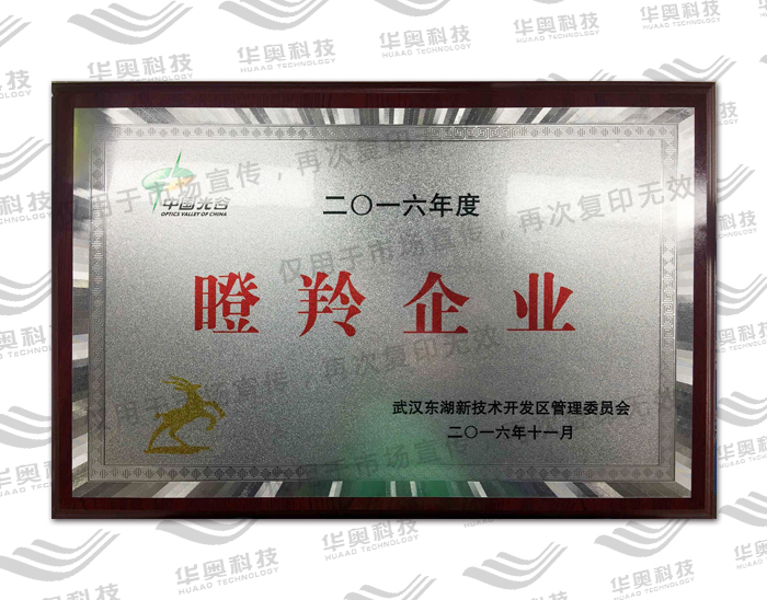 瞪羚企业2016